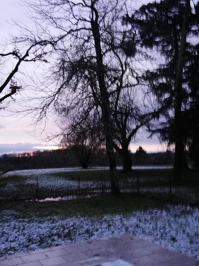 Location de vacances pour 2 personnes, avec bassin pour enfant et vue ainsi que jardin et piscine, animaux acceptés à Courrensan - 3