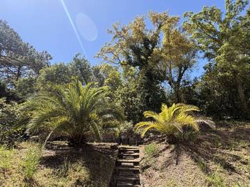 Villa pour 10 Personnes dans Lège-Cap-Ferret, Gironde, Photo 2
