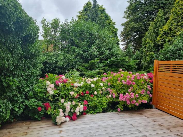 Ferienhaus für 4 Personen, mit Terrasse