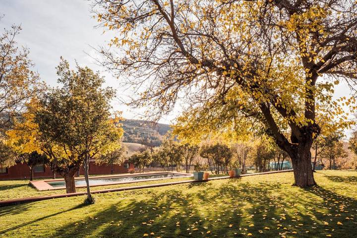 Casa rural para 2 personas, con Terraza y Jardín además de Piscina y Vistas en Retiendas - 4