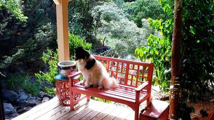 Vacation Home for 4 Guests in Upcountry Maui, Maui, Picture 4