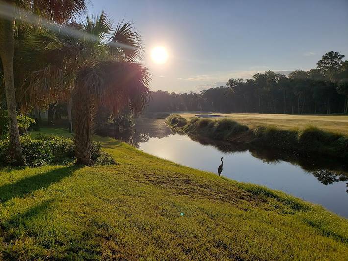 Villa for 6 people, with pool and terrace as well as yard in South Carolina