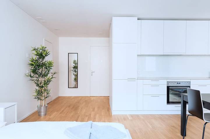 Entire apartment, Bs Lynx I - Fair Hitrental Apartment in Basel Zustellkreis, Basel