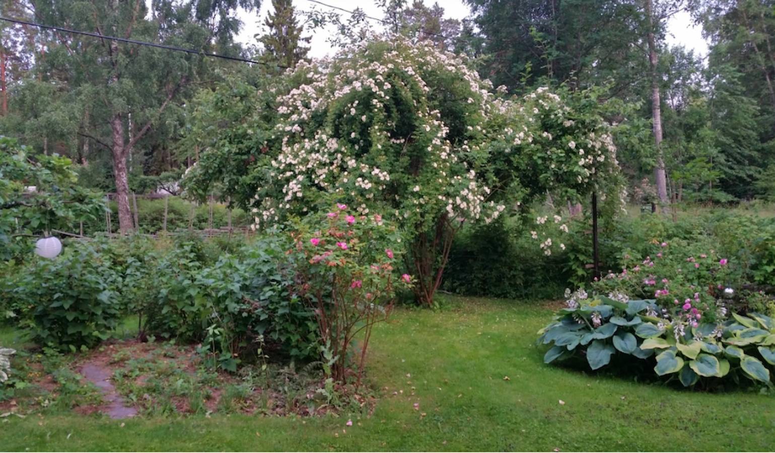Frisches kleines Ferienhaus in Stockholms südlichen Schären! in Tyresö, Mar báltico sueco