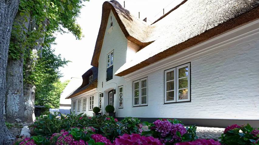 Ferienhaus für 6 Personen, mit Terrasse und Sauna sowie Garten, mit Haustier - 1