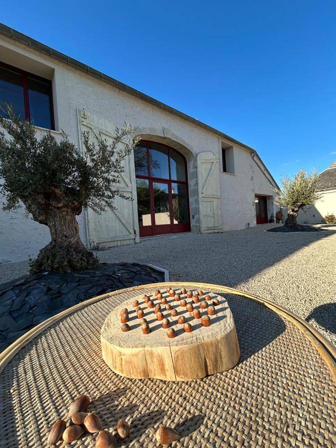 Location de vacances pour 15 personnes, avec Terrasse et Jardin à Josnes