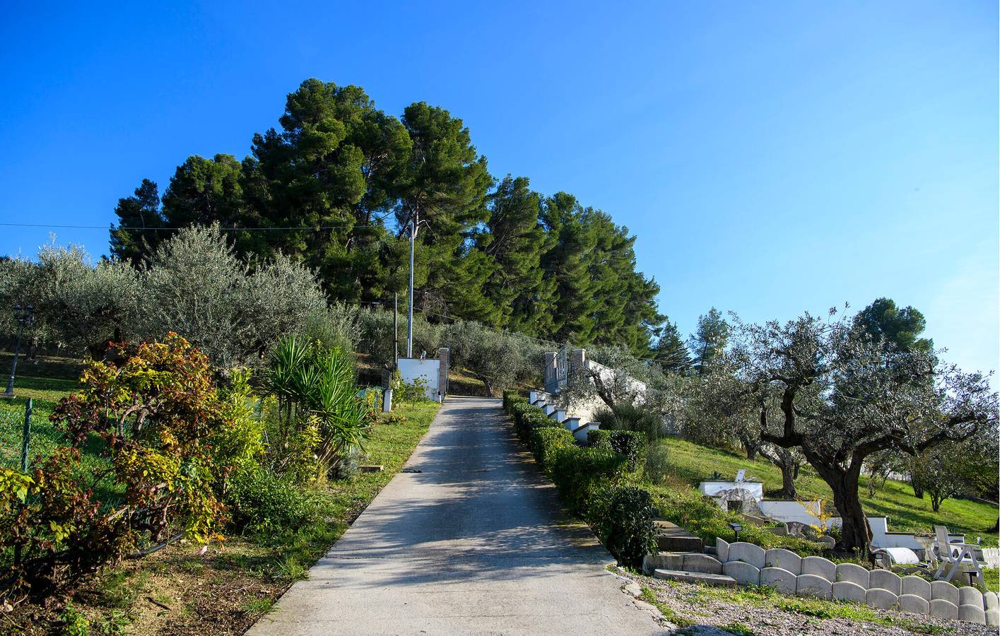 Ganze Ferienwohnung, Gemütliche Wohnung mit Pool und Terrasse in der Nähe von Moscufo in Moscufo, Pescara Provinz