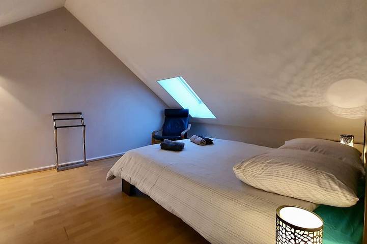 Ganze Wohnung, Charmantes Duplex mit Seeblick in Sévrier, Parc naturel régional du Massif des Bauges