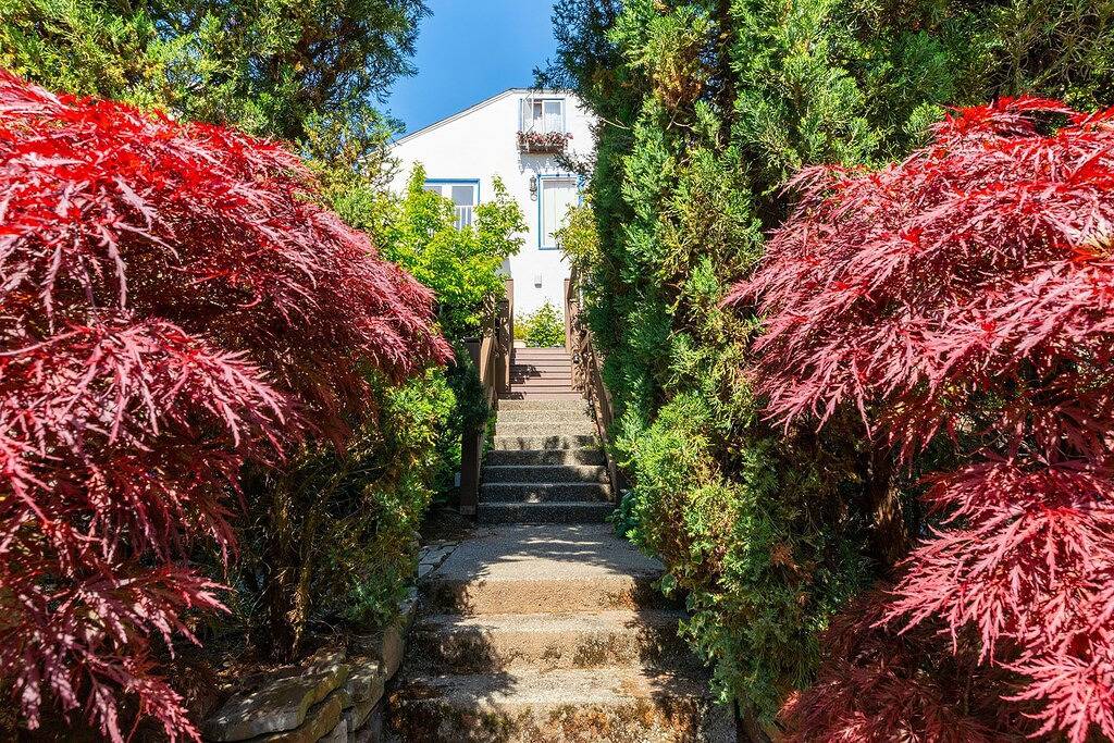 Ganze Wohnung, Gemütliches Apartment mit einem Schlafzimmer in der Nähe des Kinderkrankenhauses und des Uw. in Seattle, Lake Washington