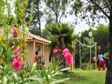 Location De Vacances pour 6 Personnes dans Puget-sur-Argens, Région de Draguignan, Photo 3