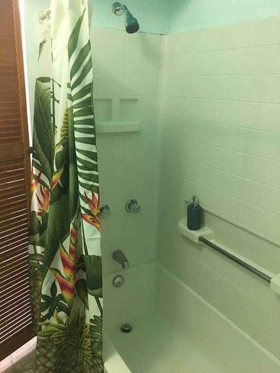 Ganze Wohnung, Loft-Apartment mit einem Schlafzimmer im Herzen der Innenstadt von Hilo in Hilo, North Hilo