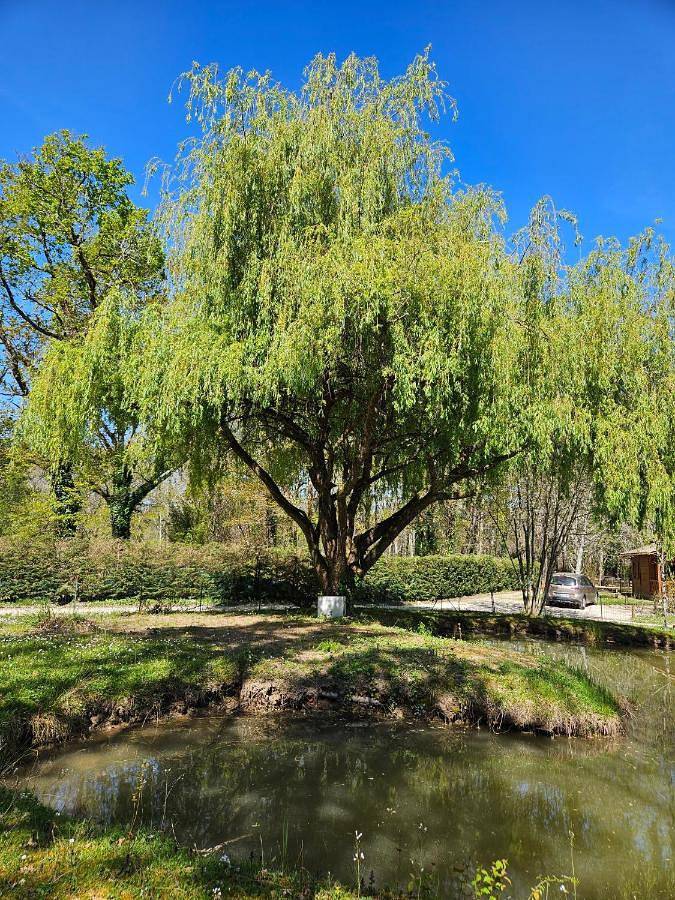 Location de vacances pour 6 personnes, avec jardin ainsi que vue sur le lac et piscine, animaux acceptés à Saint-Rémy (Dordogne) - 3