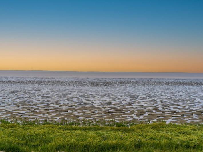Ferienhaus für 6 Personen, mit Garten in Friesland - 2