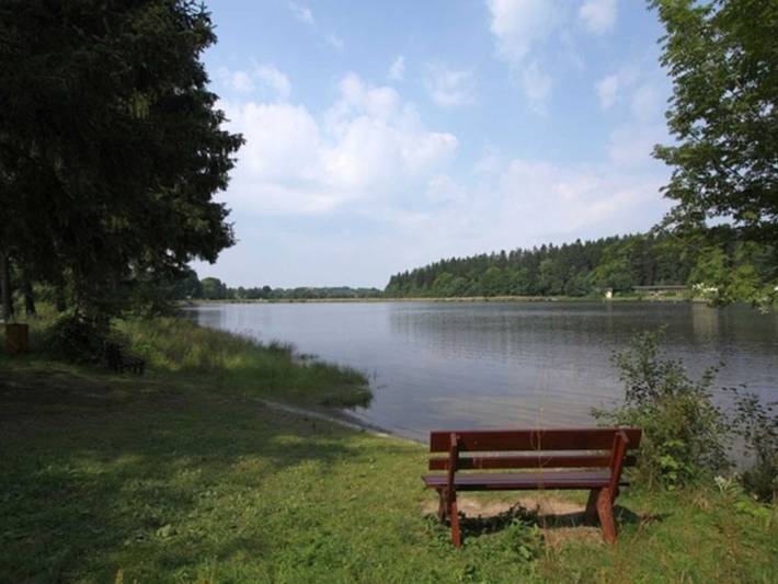 Waldsee Feriendienst - Kaminhaus 30.59 in Clausthal-Zellerfeld, Harzvorland