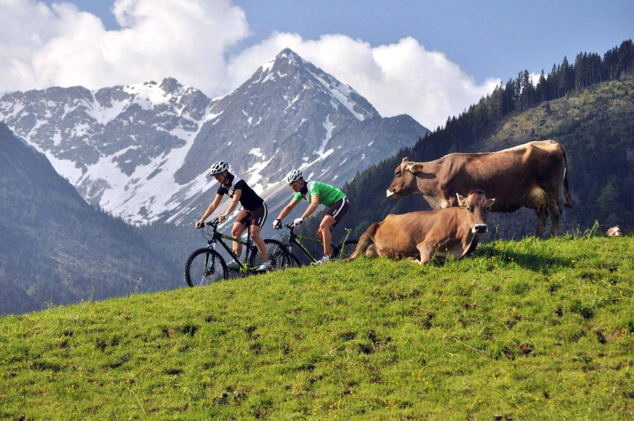 Ganze Wohnung, Beim Vogt - Oberjoch in Oberjoch, Bad Hindelang