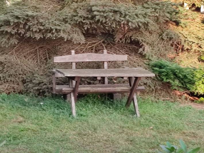 Ferienwohnung für 4 Personen, mit Terrasse und Garten am Achterwasser - 2