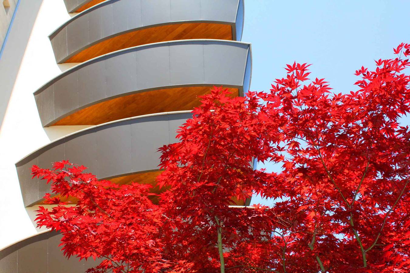 Apartamento vacacional entero, Apartamento vacacional con balcón y aire acondicionado  in Lignano Sabbiadoro, Provincia d'Udine