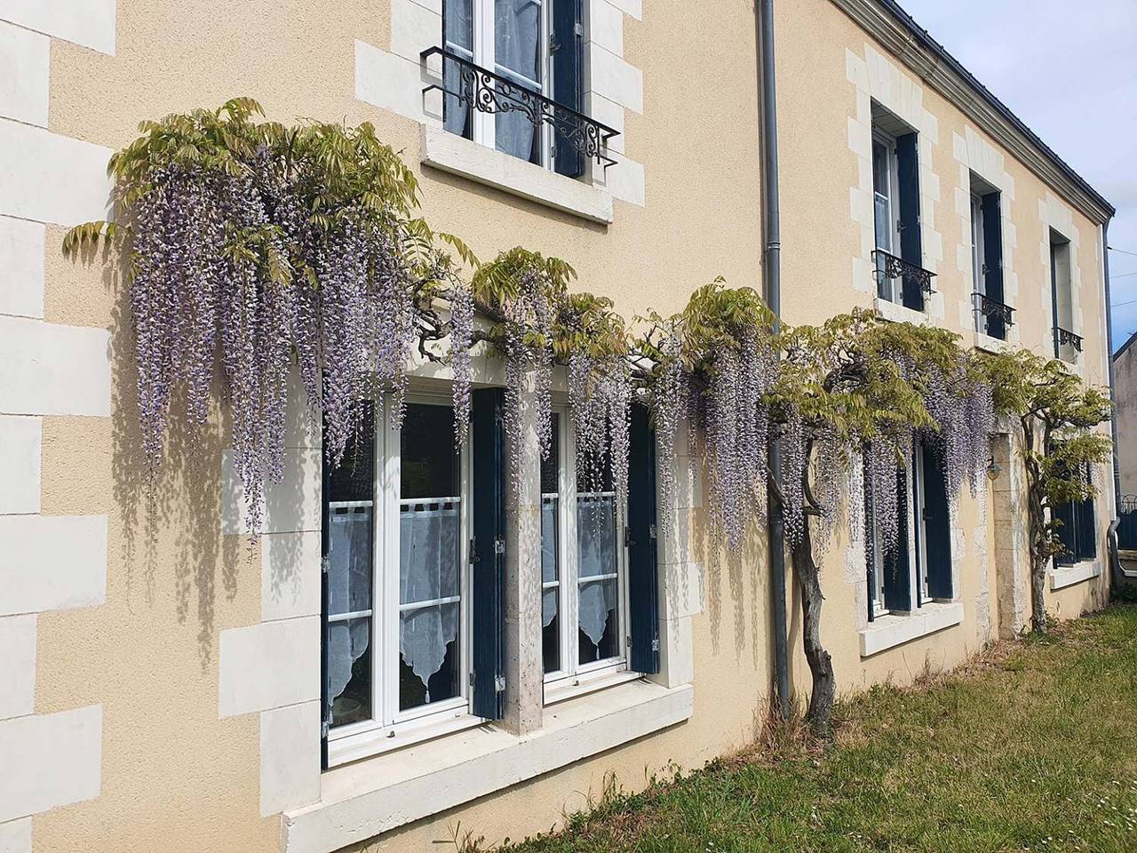 Chambre d'hôtes des Châteaux - Chambre in Cellettes, Région de Blois