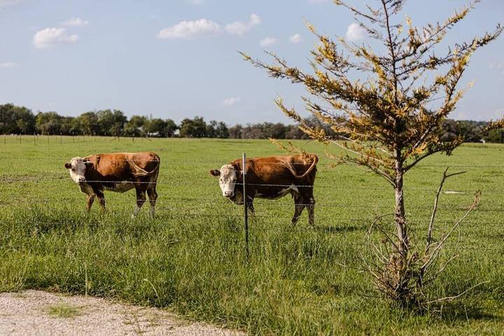 Agriturismo für 2 Personen, mit Whirlpool und Garten sowie Balkon in den USA