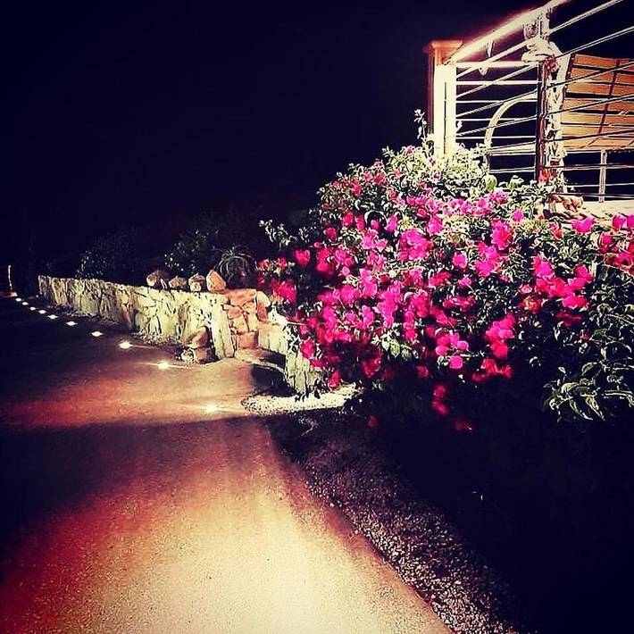 Chambre d’hôte pour 2 personnes, avec vue et jardin à Arzachena - 4