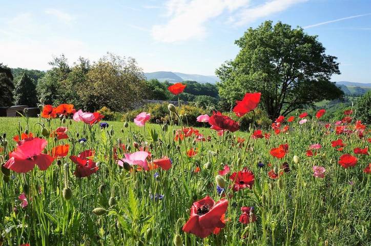 Location de vacances pour 9 personnes, avec jardin et jacuzzi à Saint-Germain-du-Teil
