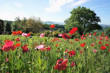 Location de vacances pour 9 personnes, avec jacuzzi et jardin à Saint-Germain-du-Teil