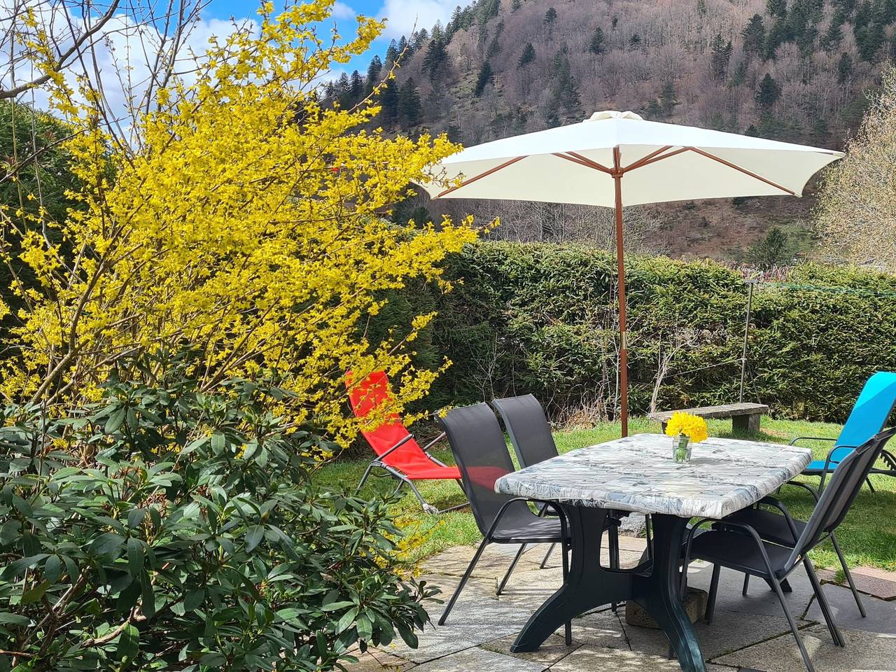 Chalet confortable avec cheminée proche de La Bresse-Hohneck, idéal pour famille et amis. in La Bresse, Parc naturel régional des Ballons des Vosges