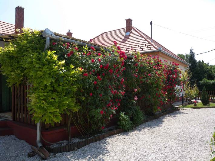 Ferienhaus mit gemütliche Terrasse und Klimaanlage in Balatonbereny, Plattensee Südufer
