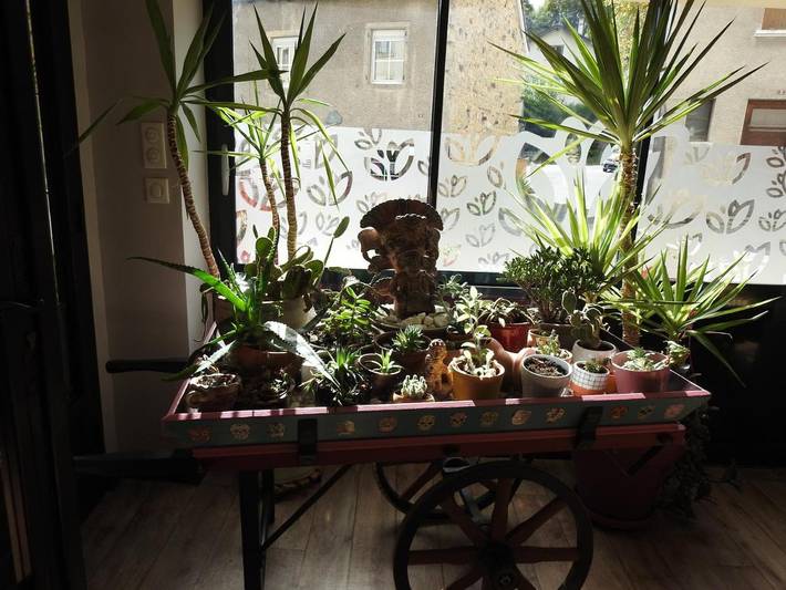 Hôtel pour 2 personnes, avec terrasse à Saint-Julien-Chapteuil - 2