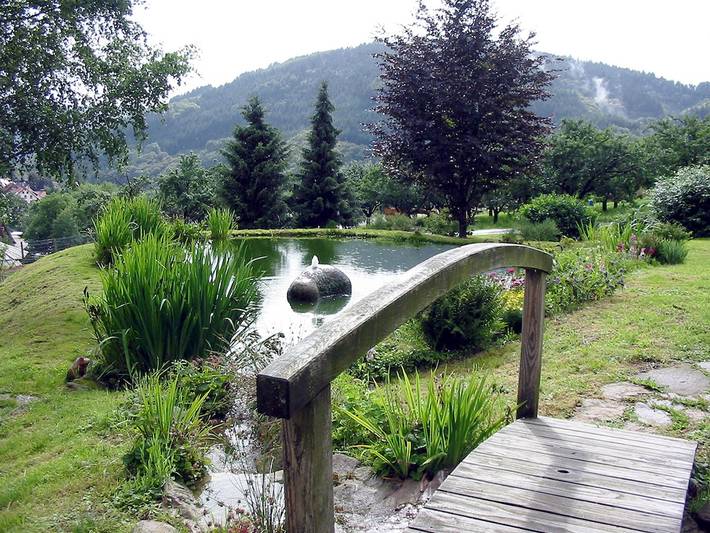 Ferienwohnung, mit Terrasse und Garten in Nationalpark Schwarzwald - 3