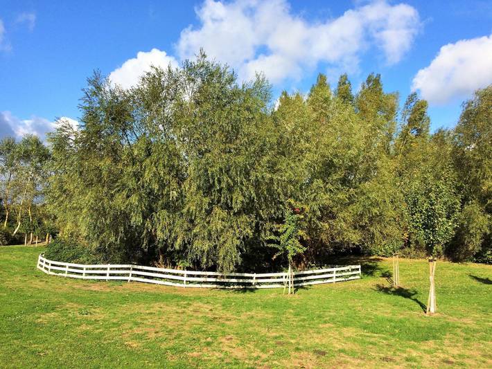 Ferienpark für 2 Personen, mit Garten, mit Haustier in Mecklenburg-Vorpommern - 2