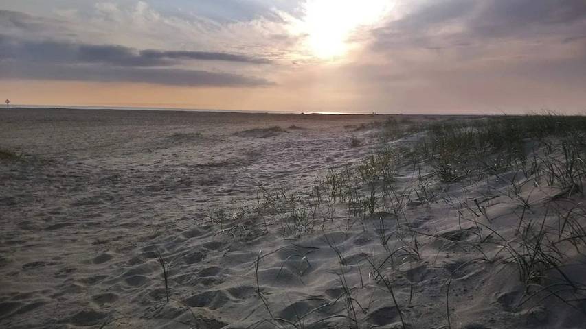 Ferienhaus für 9 Personen, mit Sauna und Whirlpool sowie Terrasse auf Fanø - 4