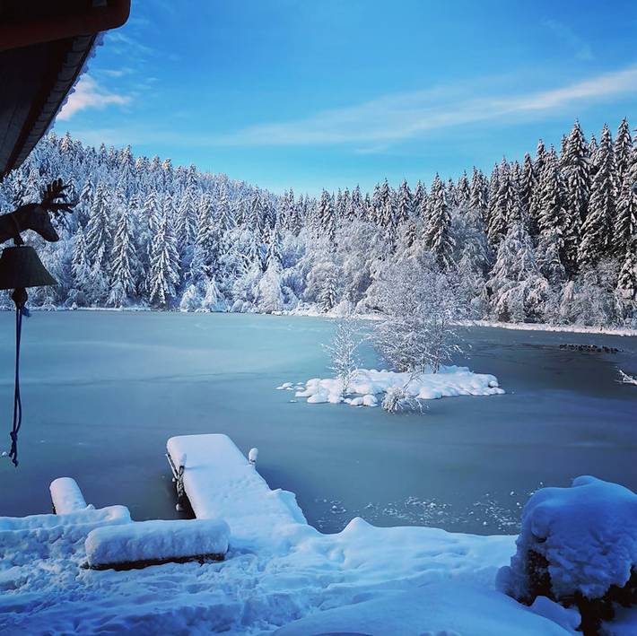 Gîte pour 13 personnes, avec jardin ainsi que terrasse et vue sur le lac, animaux acceptés