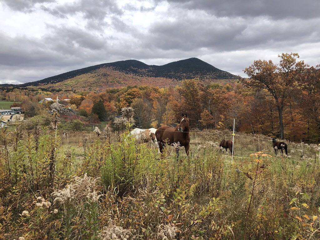 Jackson Home Auf Black Mtn! Erstaunliche Ansichten, Privat, Perfekte Lage Super Einzigartig in Jackson (NH), White Mountain National Forest