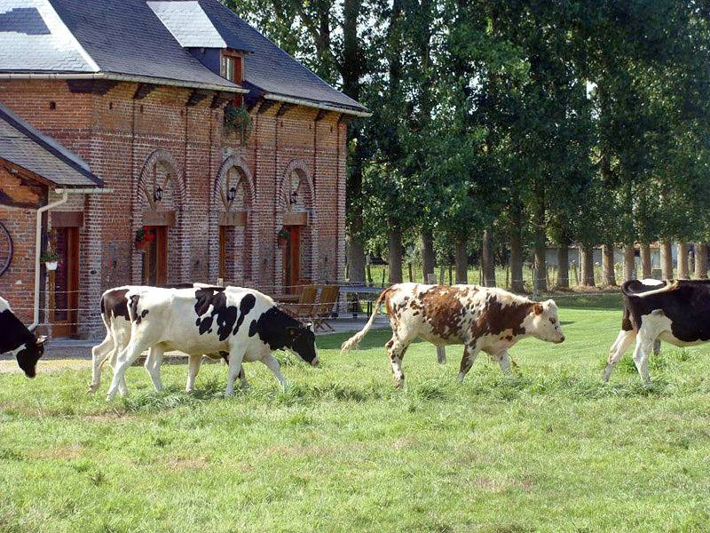 Gîtes de France® - La Loge du Charretier in Gonneville-sur-Scie, Région de Dieppe