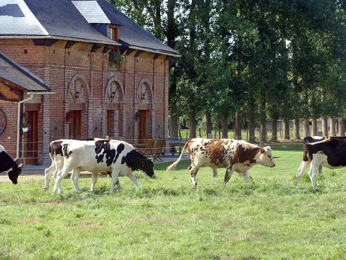 Gîte pour 8 personnes, avec jardin, animaux acceptés en Seine-Maritime - 3