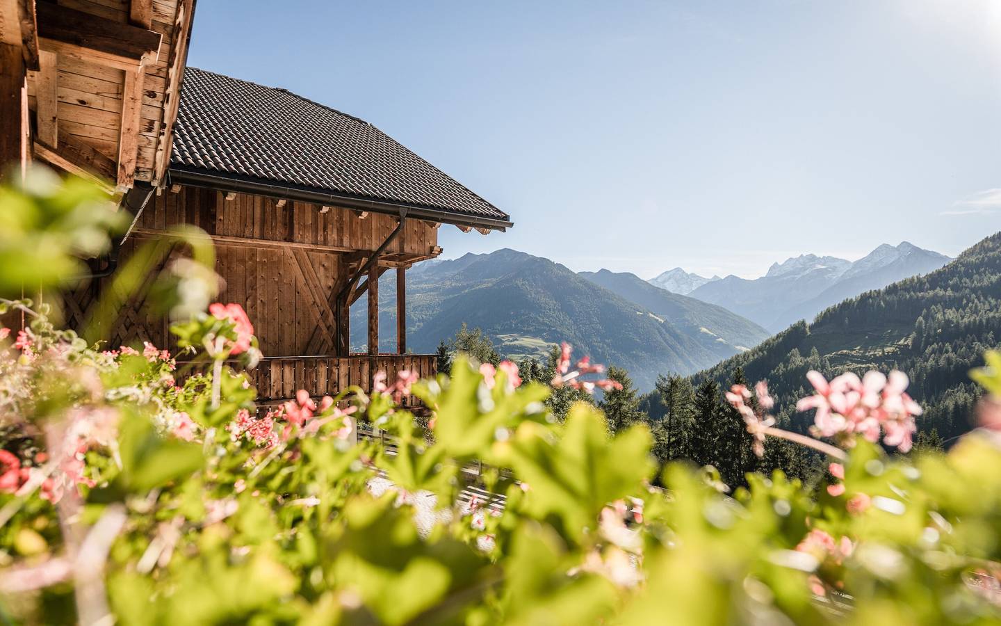 Ganze Wohnung, Ferienwohnung 'Bruneggerhof 1' mit Bergblick, Privatem Garten und Wi-Fi in Ahrntal, Zillertaler Alpen