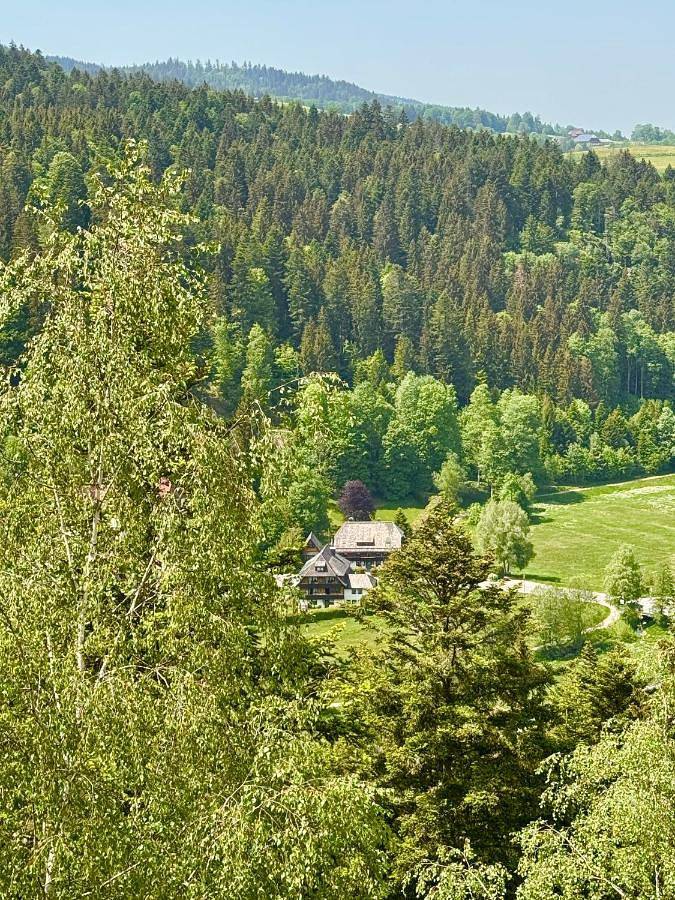 Hollhouse - Bed & Breakfast in Hinterzarten, Forêt-Noire du Sud