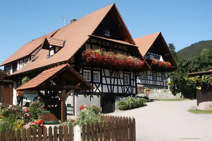 Ganze Wohnung, Klaus und Erika Köninger: Ferienwohnung 'Klaus' mit Gemeinschaftsgarten und Wi-Fi in Sasbachwalden, Ferienregion Sasbachwalden Region