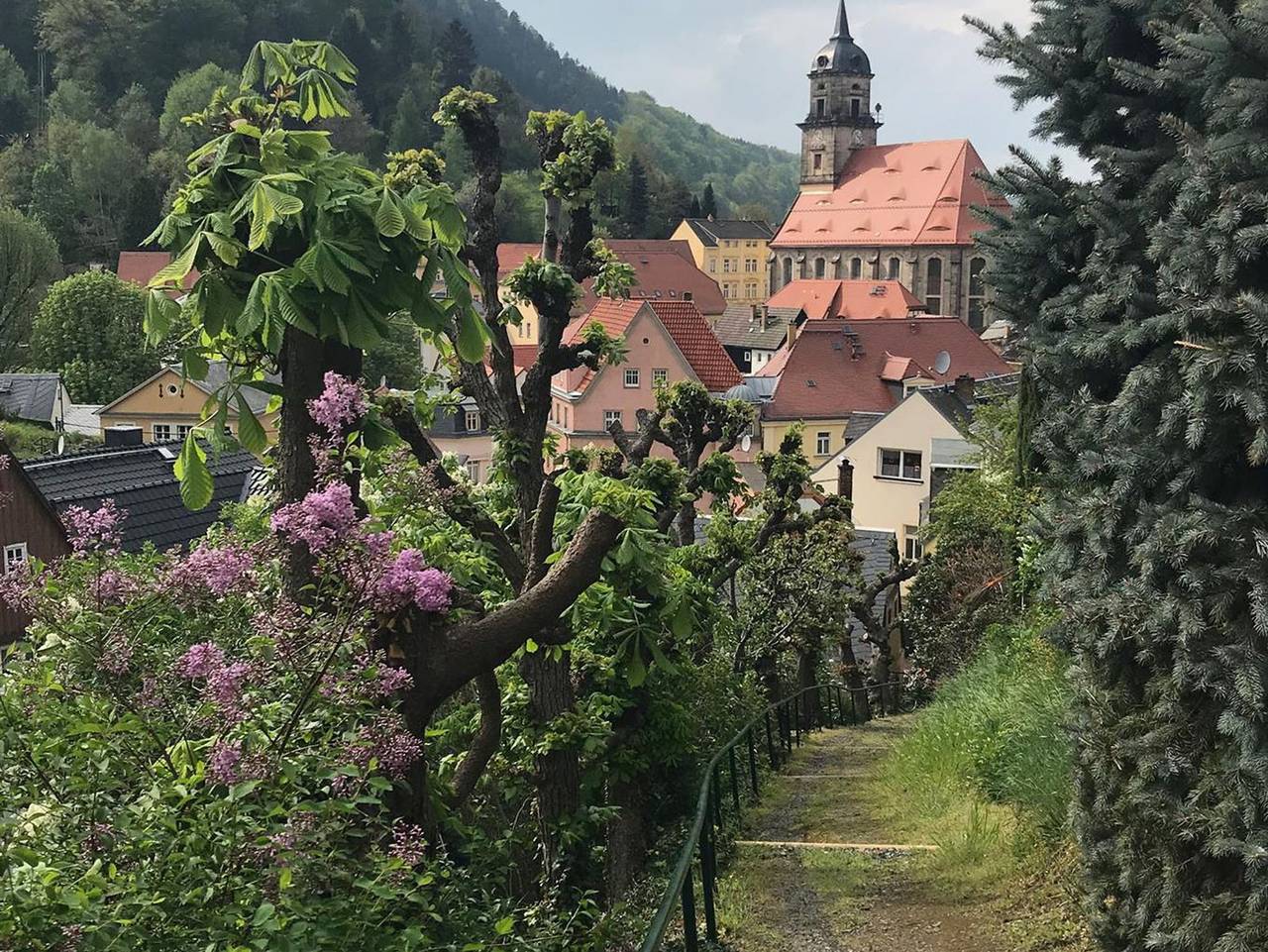 Ganze Ferienwohnung, Ferienwohnung Festungsblick - Ferienwohnung, 1 Schlafraum in Königstein, Elbsandsteingebirge