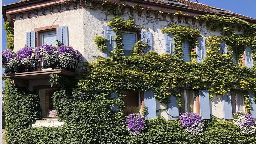 Ferienwohnung für 4 Personen, mit Seeblick und Balkon sowie Pool und Garten in Kaiserstuhl