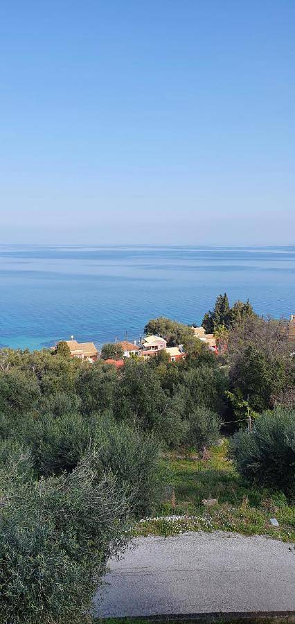 Olga's Apartments in Ψαρά, Κέρκυρα