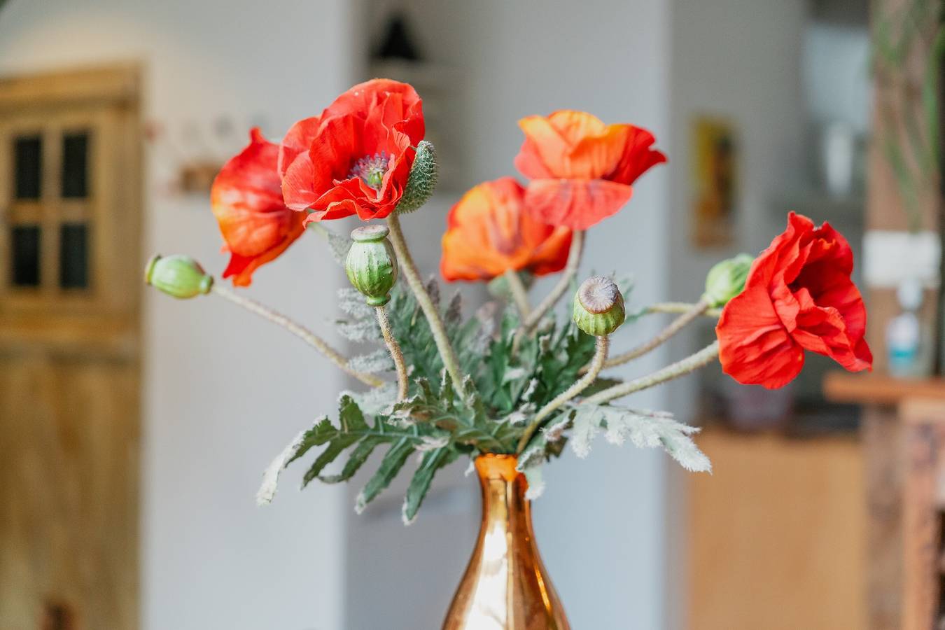 Gîte du 17 - bienestar con spa, terraza privada, jardín y Wi-Fi in Vieux-Viel, Región de Saint-Malo