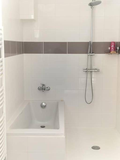 Location de vacances pour 10 personnes, avec jardin à Savigné - 4