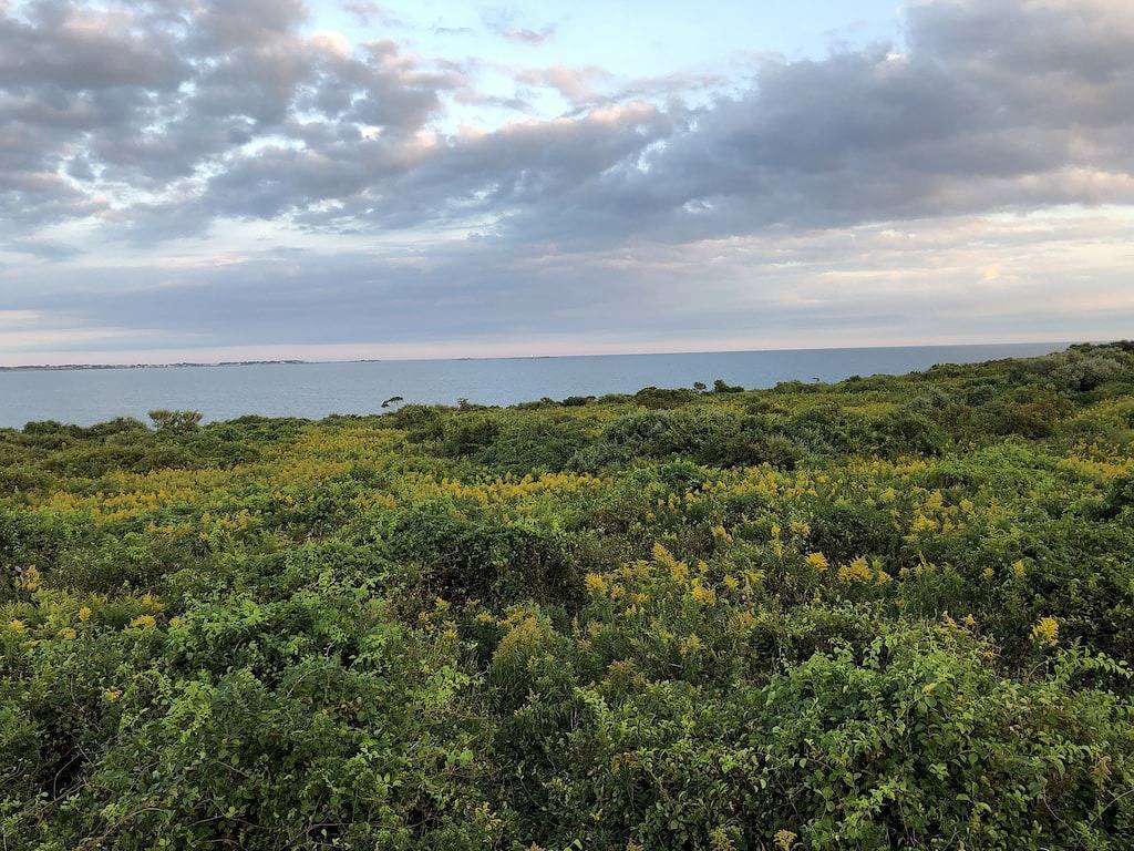 Abgeschiedenes, schönes Zuhause. Minuten von Sachuest / Second Beach und Newport! in Middletown, Newport County