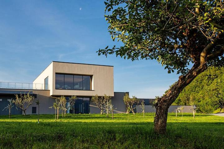 Gîte pour 3 personnes, avec jardin et vue à Vipava