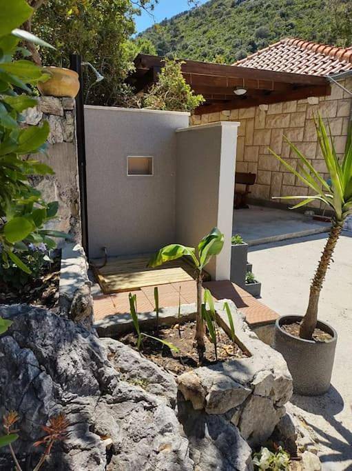 Villa pour 6 personnes, avec vue ainsi que jardin et piscine, animaux acceptés dans Mljet - 2