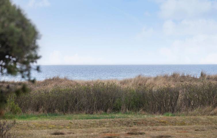 Ferienhaus mit Meerblick für 6 Personen, mit Terrasse, mit Haustier auf Seeland - 3