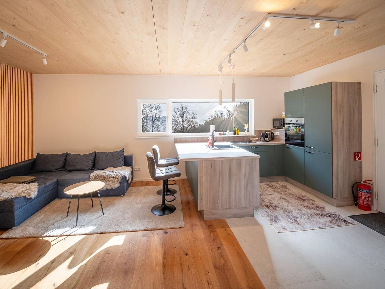 Ganze Ferienwohnung, Alpenappartment Spital am Pyhrn - Appartement/Fewo, Dusche oder Bad, Wc, 1 Schlafrau in Spital am Pyhrn, Kirchdorf an der Krems (Bezirk)
