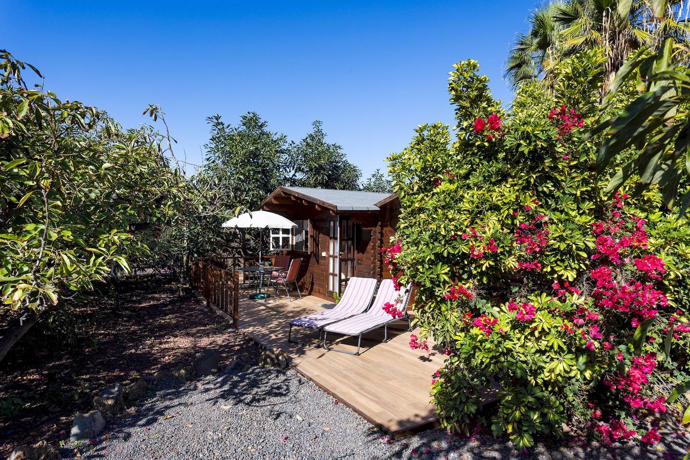 Cottage für 3 Personen mit Terrasse in La Orotava, Teneriffa Nord